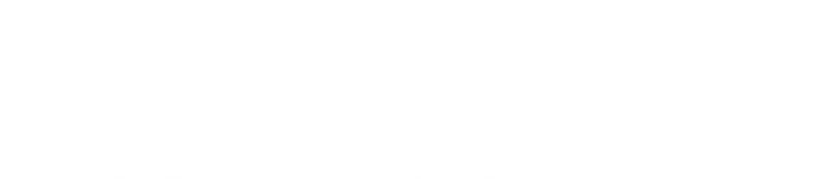 Sealegs